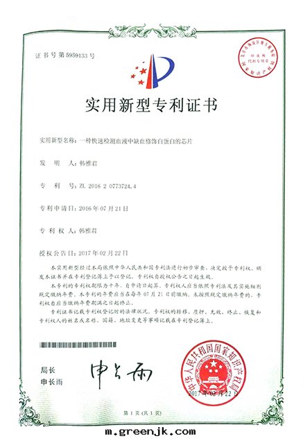 實(shí)用(yòng)新(xīn)型專利2